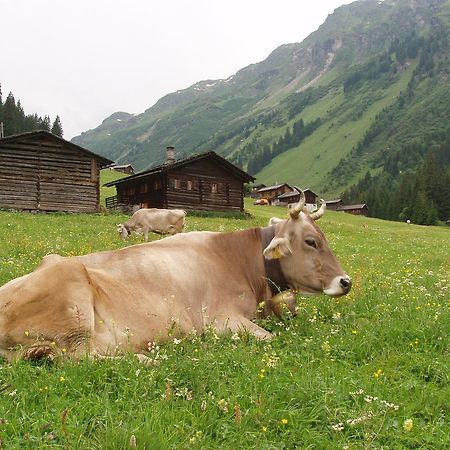 Appart Fernblick Гашум Экстерьер фото